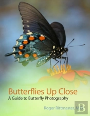 Butterflies Up Close