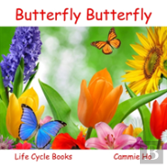 Butterfly Butterfly
