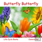 Butterfly Butterfly