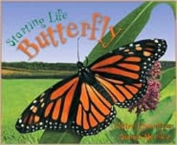 Bertrand.pt - Butterfly