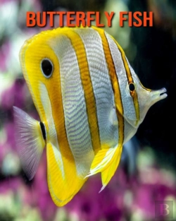 Bertrand.pt - Butterfly Fish