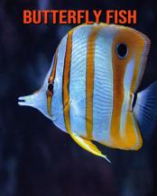 Butterfly Fish