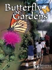 Butterfly Gardens