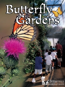 Bertrand.pt - Butterfly Gardens