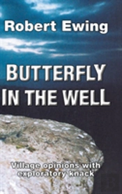 Butterfly In The Well