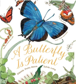 Bertrand.pt - Butterfly Is Patient