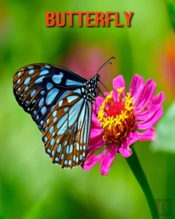 Bertrand.pt - Butterfly