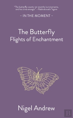 Bertrand.pt - Butterfly