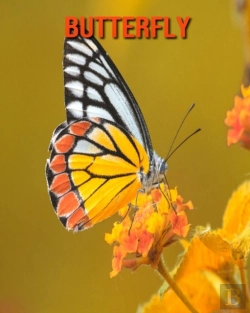 Bertrand.pt - Butterfly