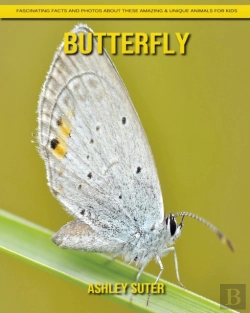 Bertrand.pt - Butterfly