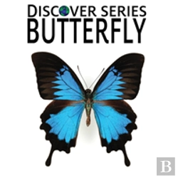Bertrand.pt - Butterfly