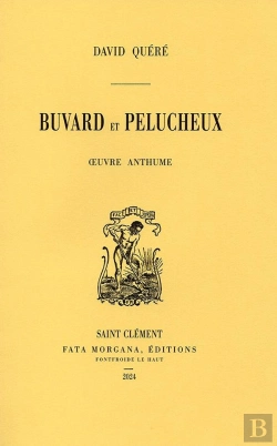 Bertrand.pt - Buvard Et Pelucheux