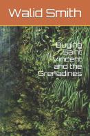 Buying Saint Vincent And The Grenadines