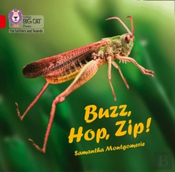 Bertrand.pt - Buzz, Hop, Zip! Big Book