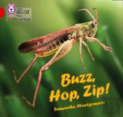 Buzz, Hop, Zip!