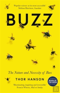 Bertrand.pt - Buzz