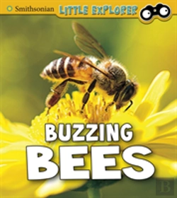 Bertrand.pt - Buzzing Bees