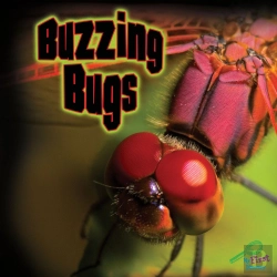 Bertrand.pt - Buzzing Bugs