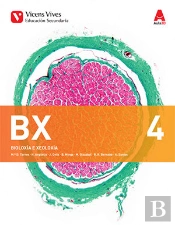 Bx 4+ Bx 4 Dosier
