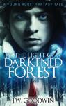 By The Light Of A Darkened Forest