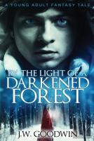 By The Light Of A Darkened Forest