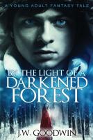 By The Light Of A Darkened Forest
