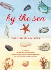 By The Sea