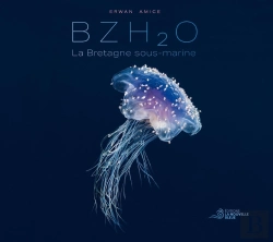 Bertrand.pt - Bzh2o : La Bretagne Sous-Marine