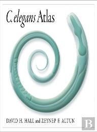 C. Elegans Atlas
