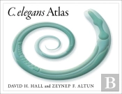 C. Elegans Atlas