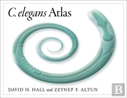 Bertrand.pt - C. Elegans Atlas