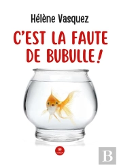 C Est La Faute De Bubulle