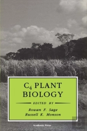 C4 Plant Biology