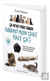 Ça Veut Dire Quoi Quand Mon Chat Fait Ça ?