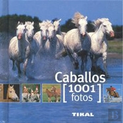 Bertrand.pt - Caballos