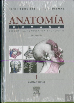 Bertrand.pt - Cabeza Y Cuello