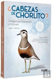 Cabezas De Chorlito Inteligencia E Innovacion En Las Aves