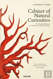 Cabinet of Natural Curiosities