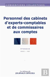 Cabinets Experts-Comptables Et De Commissaires Aux Comptes ; Convention Collective Nationale Etendue ; Idcc 787 (20e Edition)