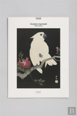 Bertrand.pt - Cacatoès Et Grenade