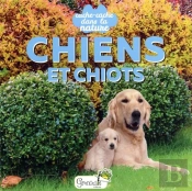 Cache-Cache Dans La Nature : Chiens Et Chiots