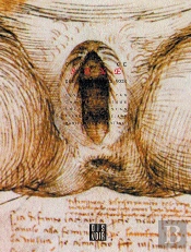 Cachez Ce Sexe Que Je Ne Saurai Voir