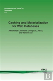 Caching And Materialization For Web Databases