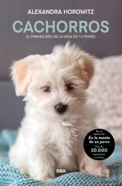 Cachorros. El Primer Año De La Vida De Tu Perro