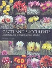 Cacti And Succulents
