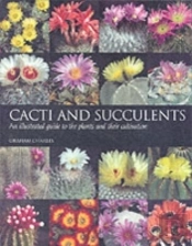 Cacti And Succulents