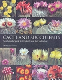 Bertrand.pt - Cacti And Succulents