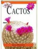 Cactos