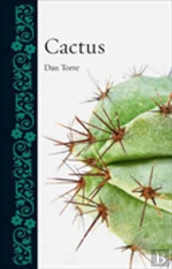 Bertrand.pt - Cactus