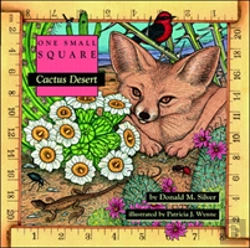 Bertrand.pt - Cactus Desert